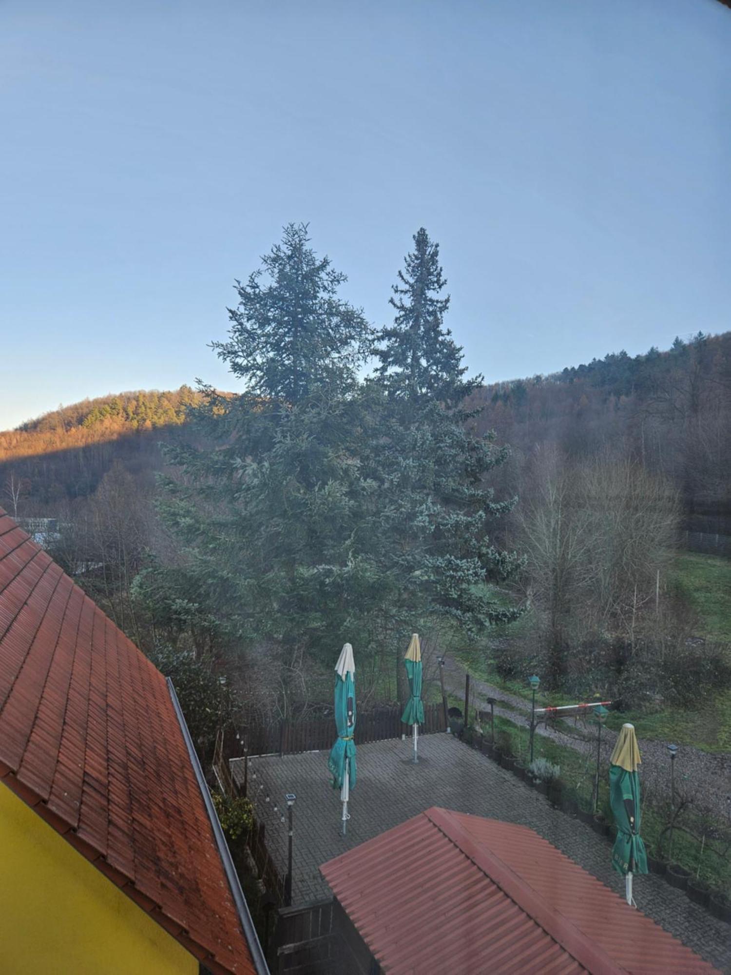 Naturfreundehaus Annweiler am Trifels Ngoại thất bức ảnh